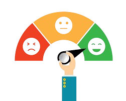 Customer Opinions