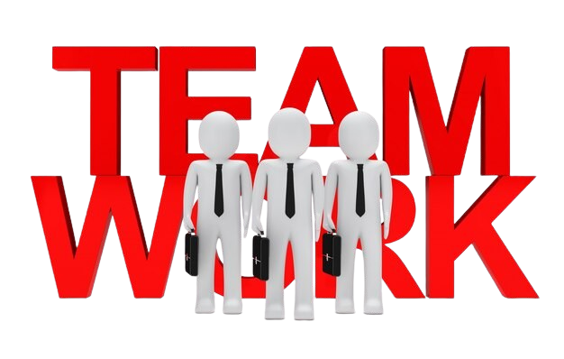Our Team